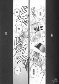 第139頁圖