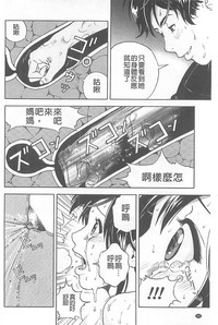 第151頁圖