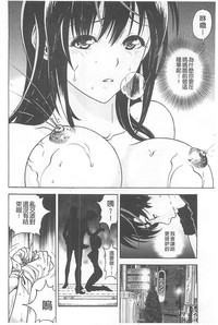 第175頁圖