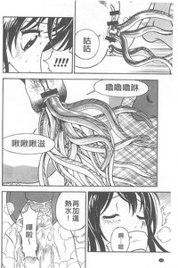 第55頁圖