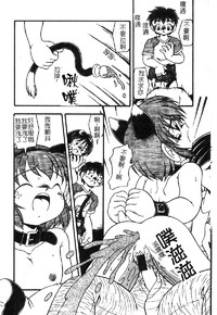 第131頁圖