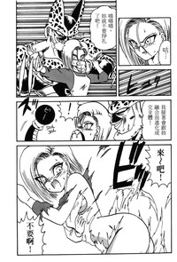 第151頁圖