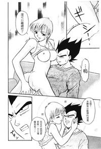 第27頁圖