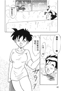 第43頁圖