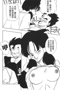 第95頁圖