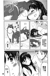 第51页图