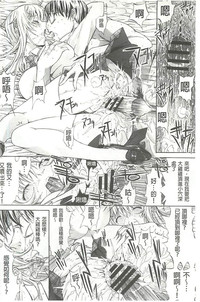 第219頁圖