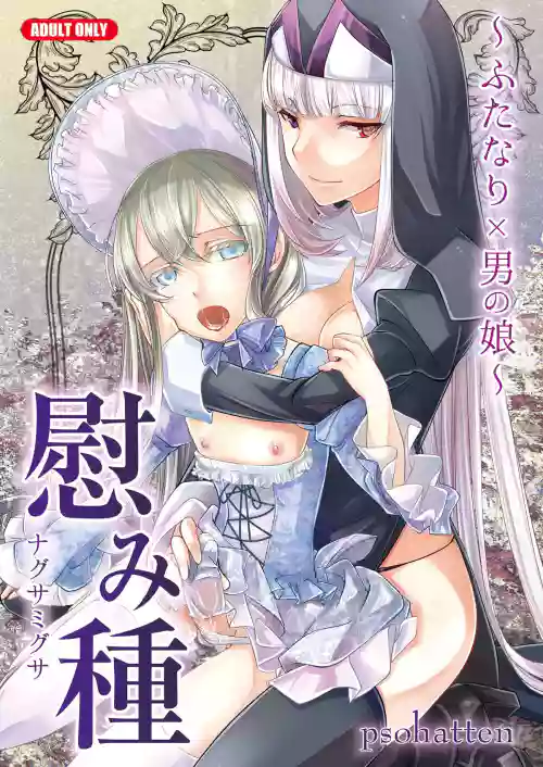 慰み種 ～ふたなり×男の娘～圖