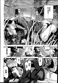 第31頁圖