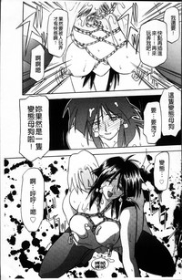 第251页图
