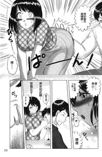 第219頁圖