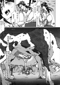 第135頁圖