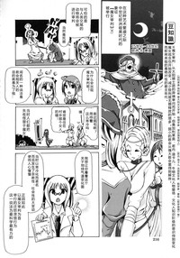 第219頁圖