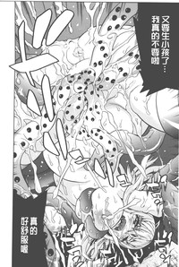第55頁圖
