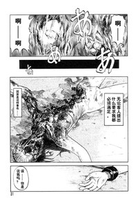 第31頁圖