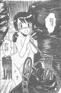 第19頁圖