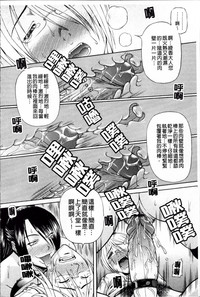 第43頁圖