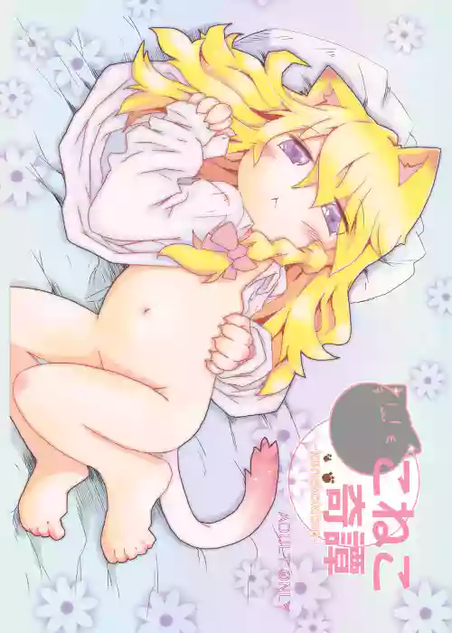 こねこ奇谭图
