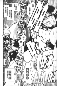 第155頁圖