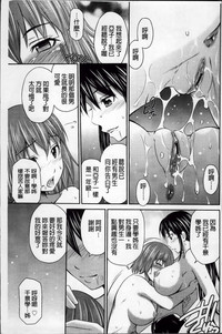 第223頁圖