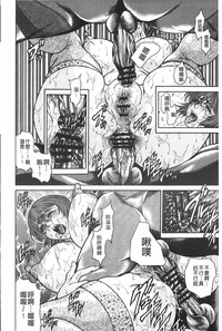 第31頁圖