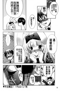 第75頁圖