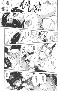 第103頁圖