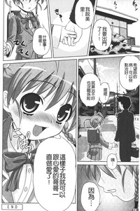 第219頁圖