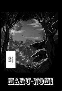 第3页图