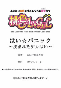 第23頁圖