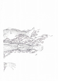 第295頁圖