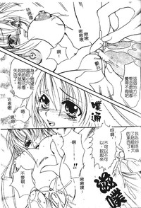 第91頁圖