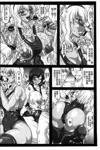 第219頁圖