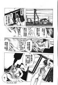 第91頁圖