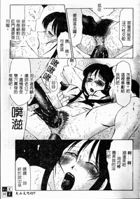 第23頁圖
