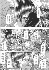 第219頁圖