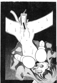 第79頁圖
