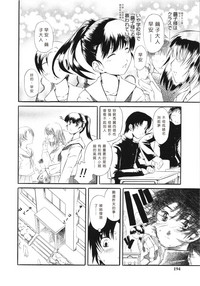 第195頁圖