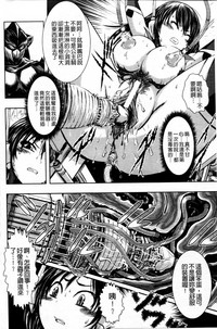 第11頁圖