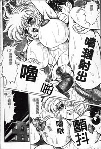 第135頁圖
