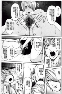 第211頁圖