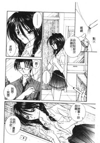 第91頁圖