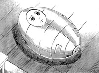 第31頁圖