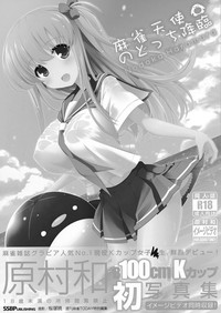 第3页图