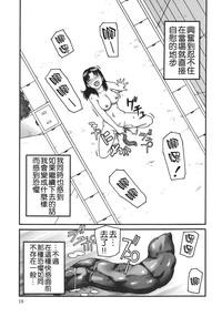 第19頁圖