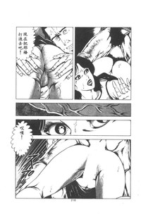 第219页图