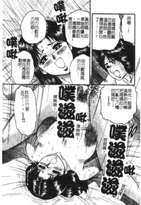 第95页图