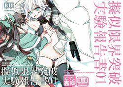 擬似限界突破実験報告書01圖