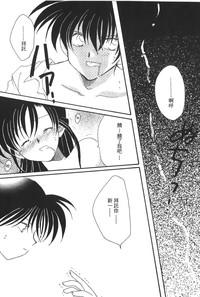 第31頁圖