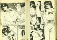 第39頁圖
